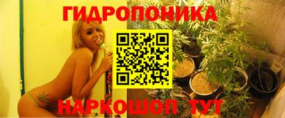 спиды Свободный