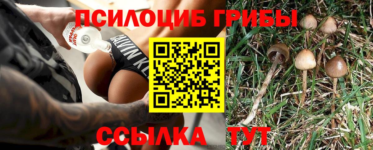 Псилоцибиновые грибы мицелий Осинники