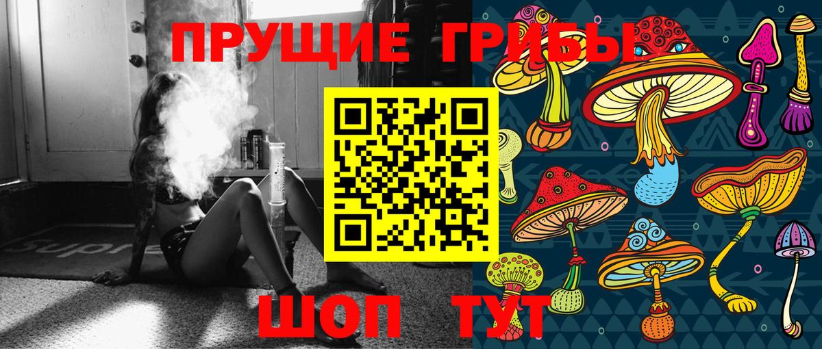 Осинники  Псилоцибиновые грибы MAGIC MUSHROOMS  Вход с VPN 